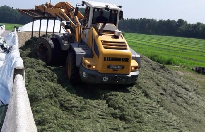 Der Bagger muss alles gut fest fahren