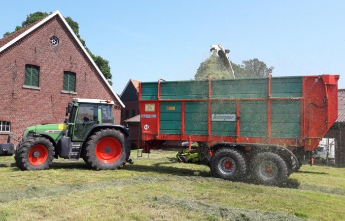 Der Grashäcksler bläst das geschnittene Gras auf den Silagewage